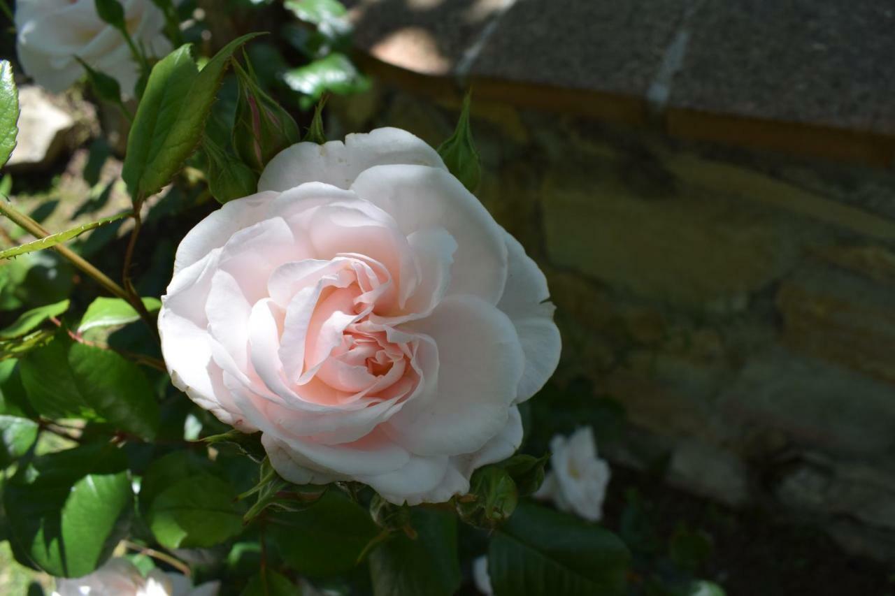 바뇨아리폴리 Casale Asciolo B&B 외부 사진